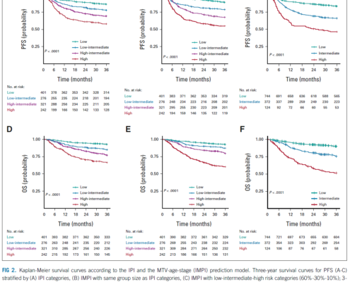 KP_Roche_TKH_MyLymphome_CottereauFigure